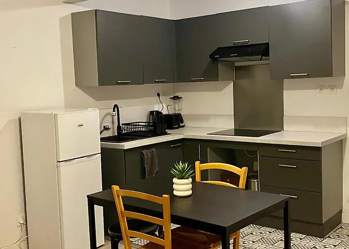 Plein Centre, Parking Jardin 4 Holiday home